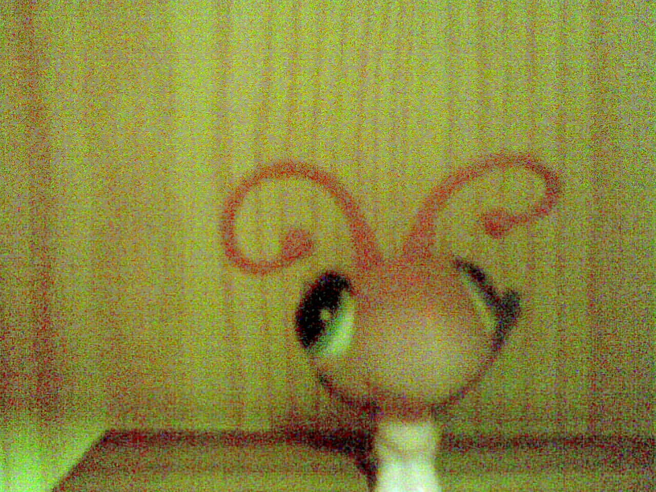 Snímka026.jpg